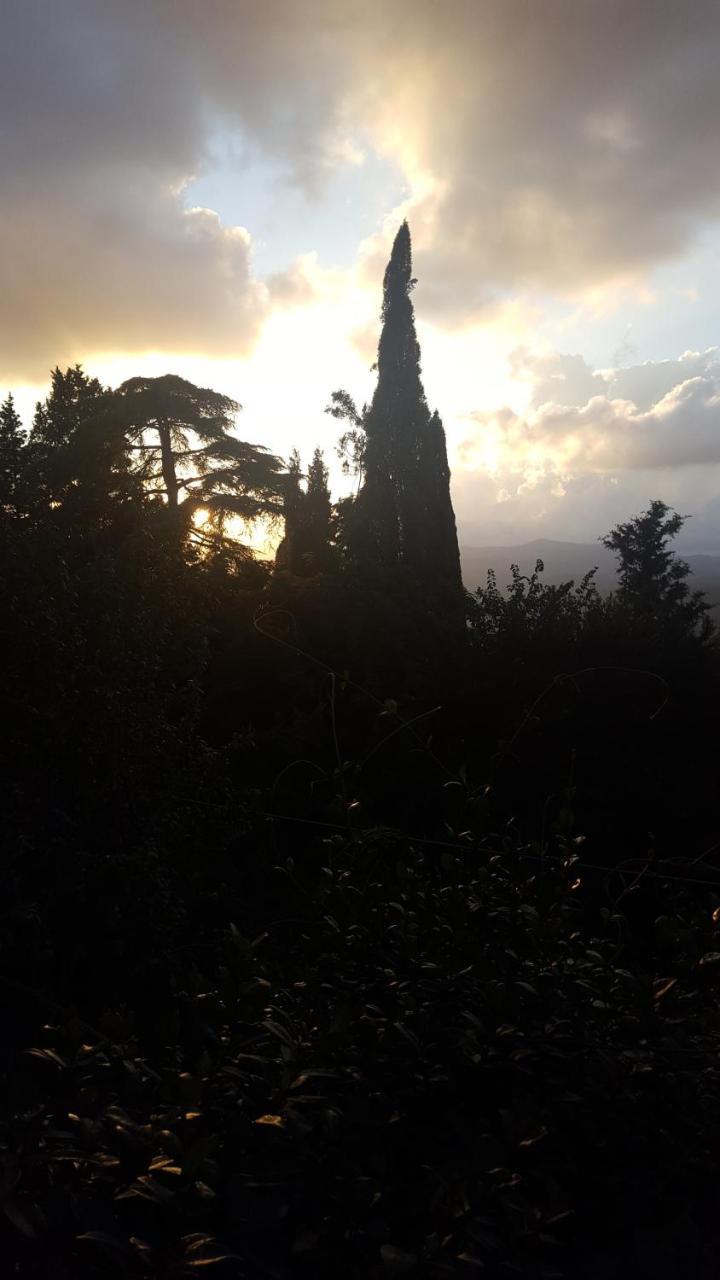 Locanda Nel Cassero Civitella Marittima エクステリア 写真